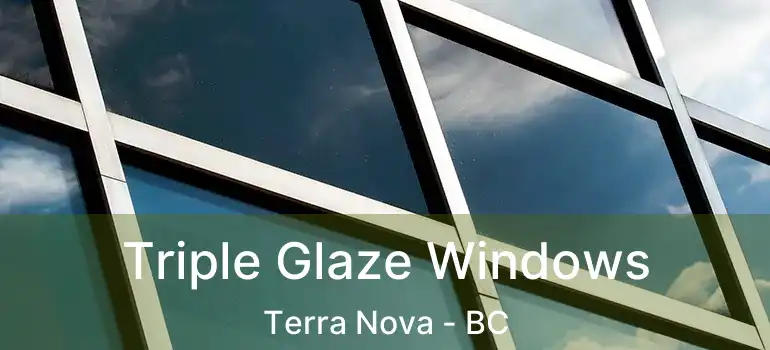  Triple Glaze Windows Terra Nova - BC