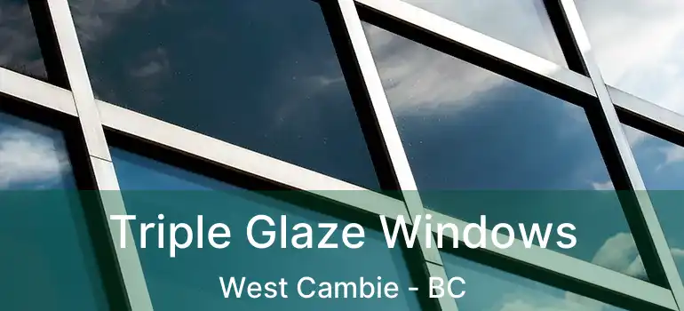  Triple Glaze Windows West Cambie - BC
