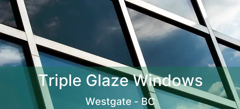  Triple Glaze Windows Westgate - BC