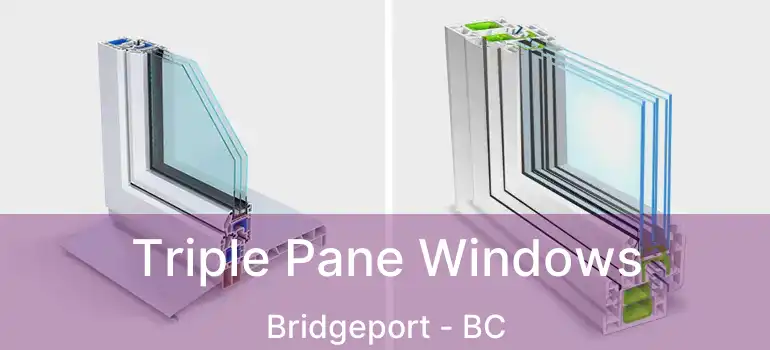  Triple Pane Windows Bridgeport - BC