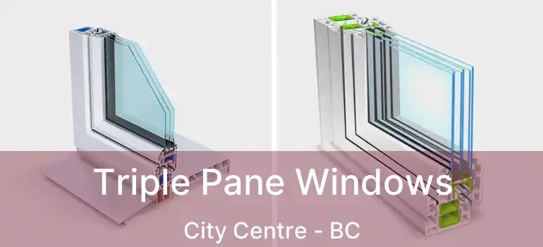  Triple Pane Windows City Centre - BC