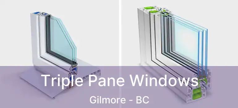  Triple Pane Windows Gilmore - BC