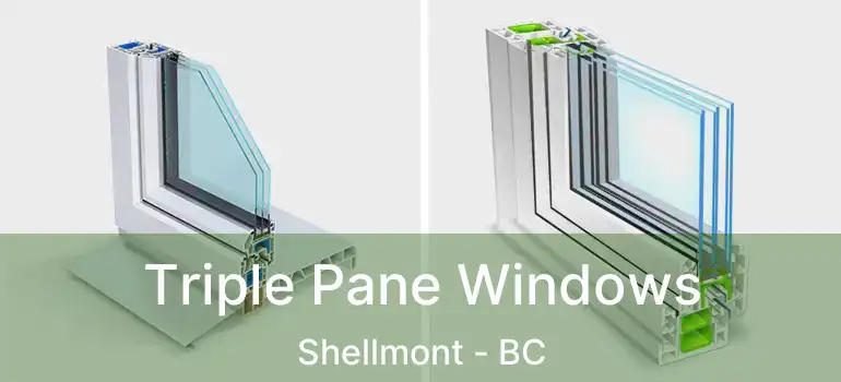 Triple Pane Windows Shellmont - BC