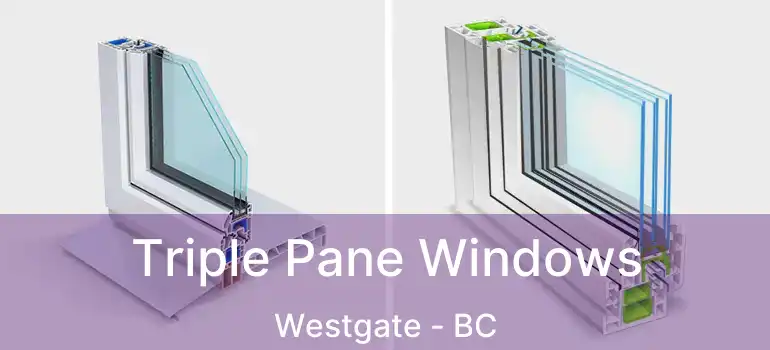  Triple Pane Windows Westgate - BC