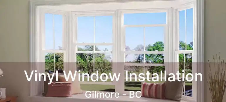  Vinyl Window Installation Gilmore - BC