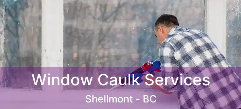  Window Caulk Services Shellmont - BC