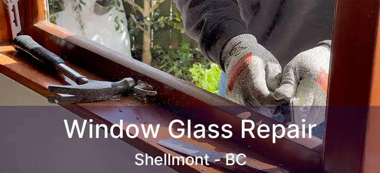  Window Glass Repair Shellmont - BC