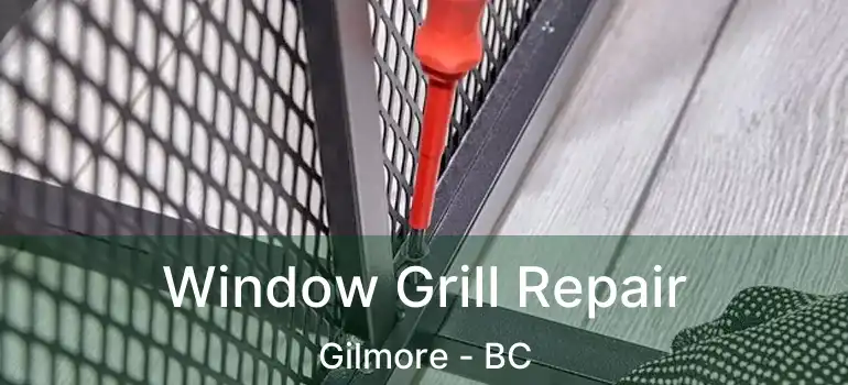  Window Grill Repair Gilmore - BC