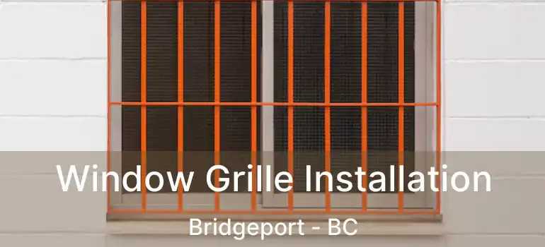  Window Grille Installation Bridgeport - BC