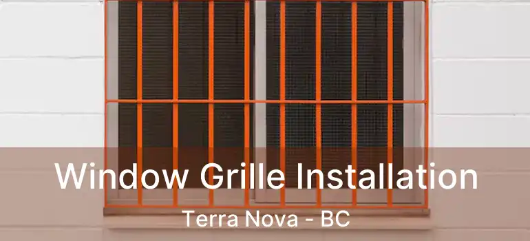  Window Grille Installation Terra Nova - BC