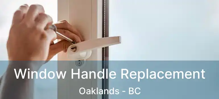  Window Handle Replacement Oaklands - BC
