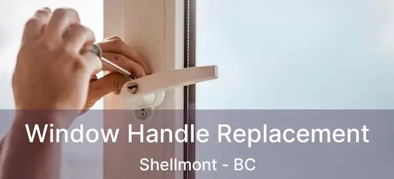  Window Handle Replacement Shellmont - BC