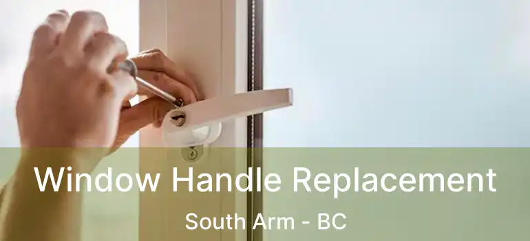  Window Handle Replacement South Arm - BC