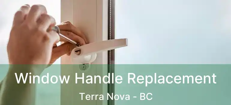  Window Handle Replacement Terra Nova - BC