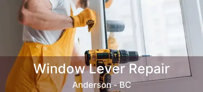  Window Lever Repair Anderson - BC