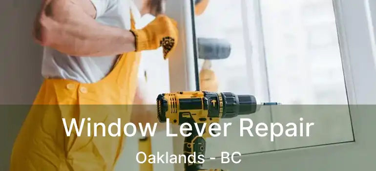  Window Lever Repair Oaklands - BC