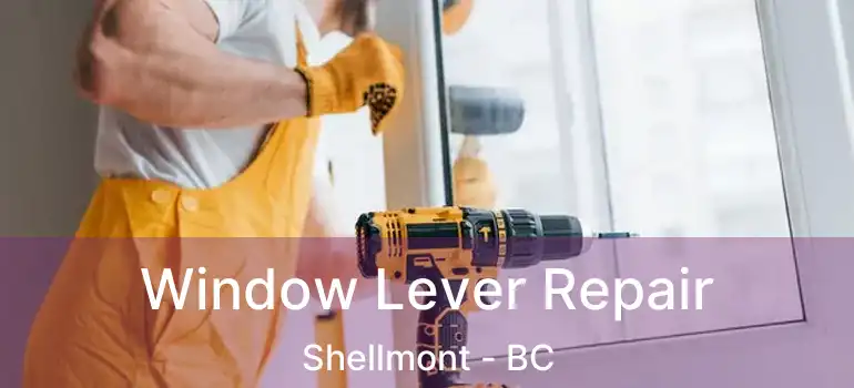  Window Lever Repair Shellmont - BC