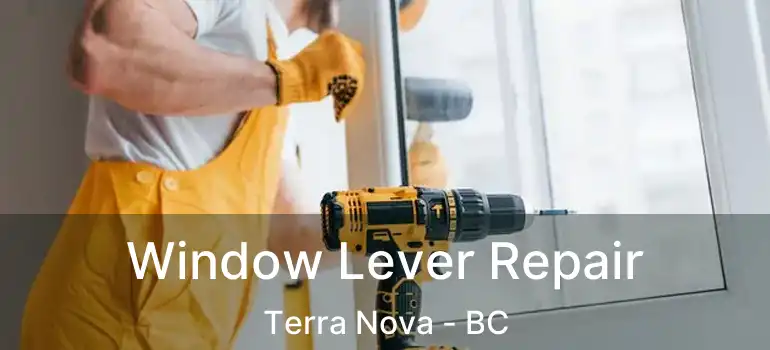  Window Lever Repair Terra Nova - BC