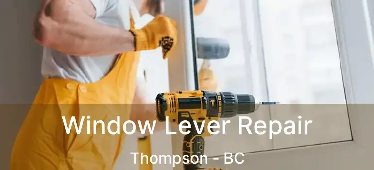  Window Lever Repair Thompson - BC