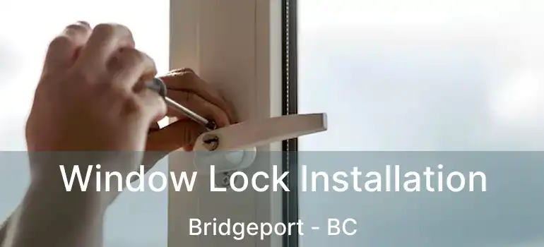  Window Lock Installation Bridgeport - BC