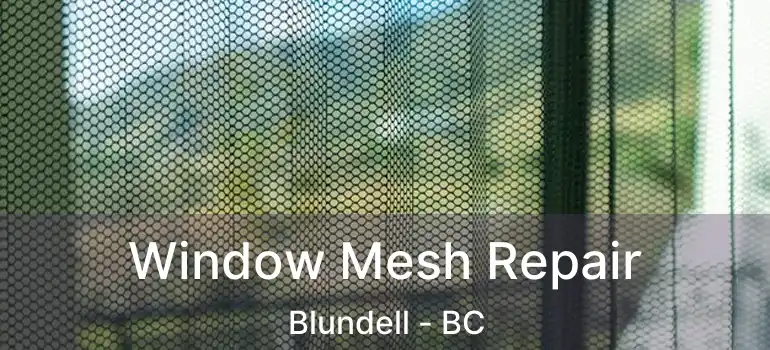  Window Mesh Repair Blundell - BC