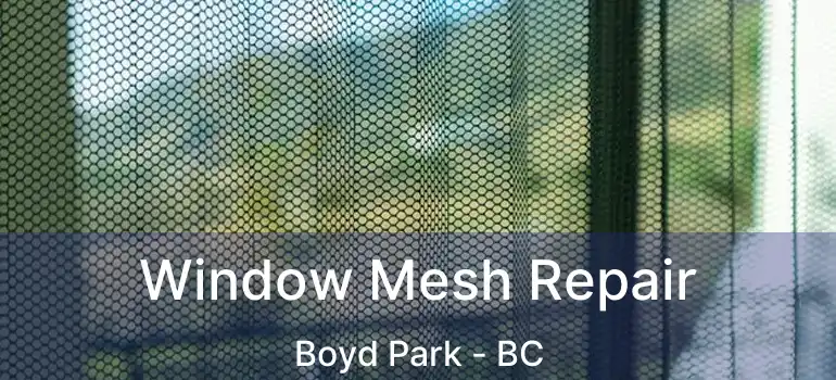  Window Mesh Repair Boyd Park - BC