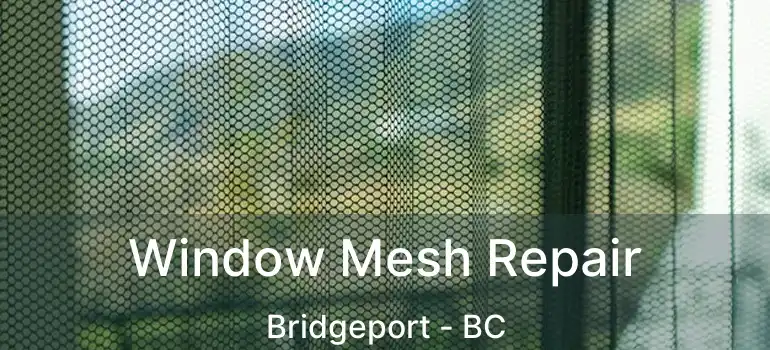  Window Mesh Repair Bridgeport - BC