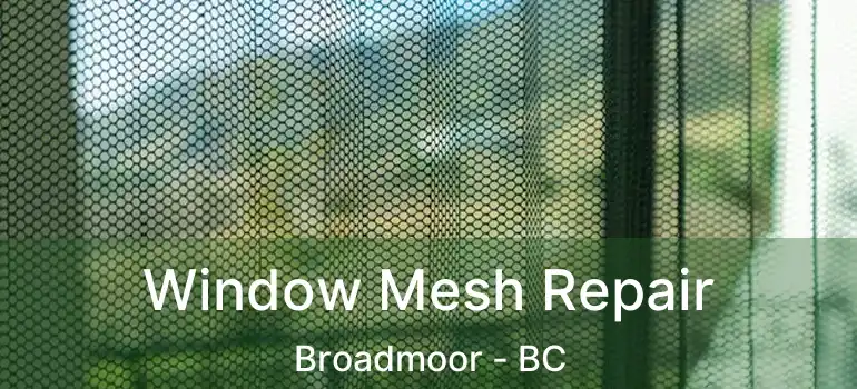  Window Mesh Repair Broadmoor - BC