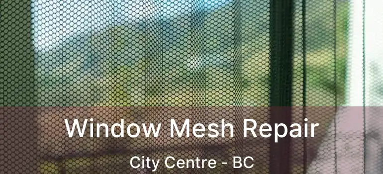  Window Mesh Repair City Centre - BC