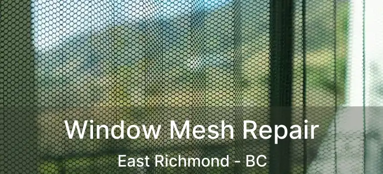  Window Mesh Repair East Richmond - BC