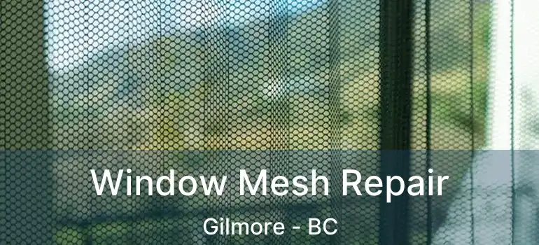  Window Mesh Repair Gilmore - BC