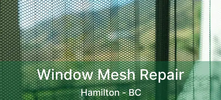  Window Mesh Repair Hamilton - BC