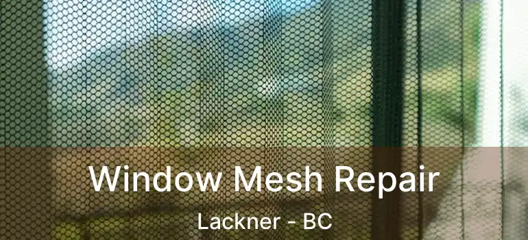  Window Mesh Repair Lackner - BC