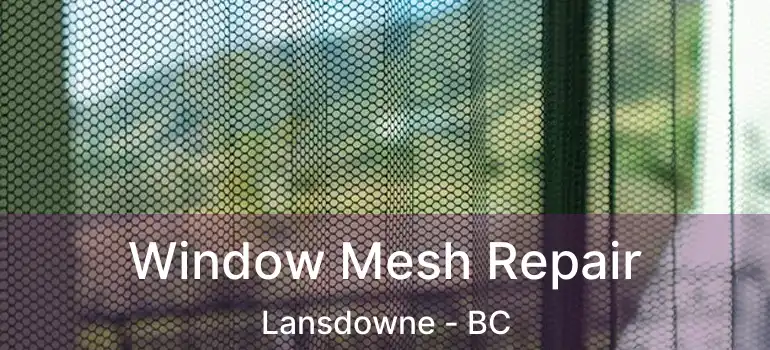  Window Mesh Repair Lansdowne - BC