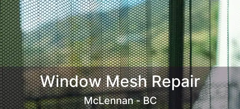 Window Mesh Repair McLennan - BC