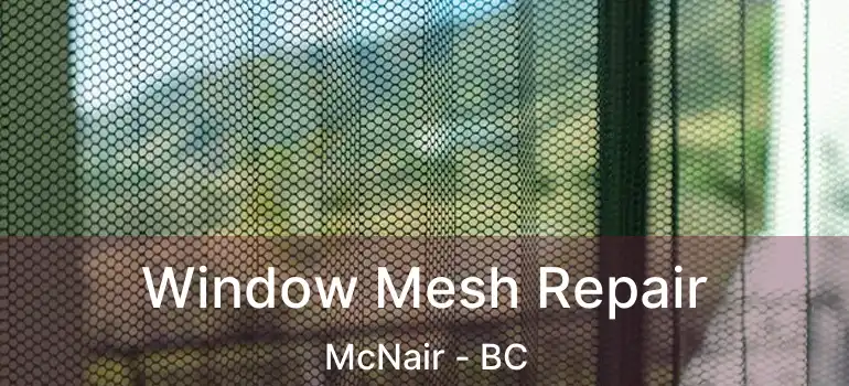  Window Mesh Repair McNair - BC