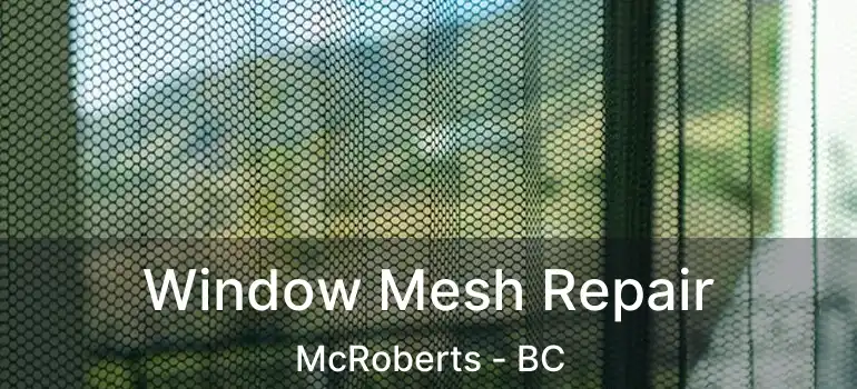  Window Mesh Repair McRoberts - BC