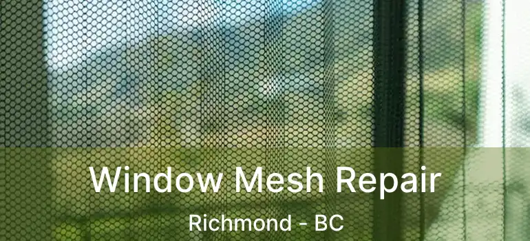  Window Mesh Repair Richmond - BC