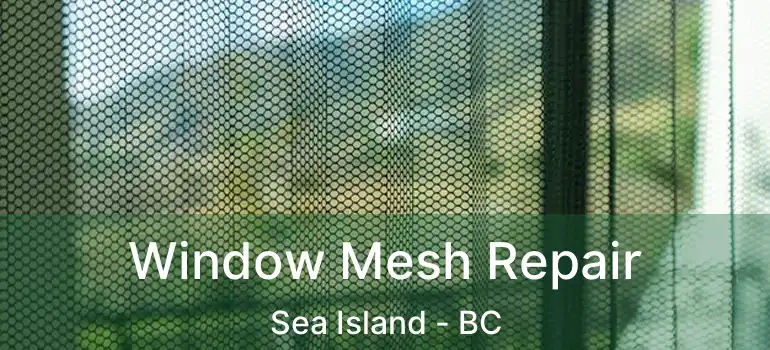  Window Mesh Repair Sea Island - BC