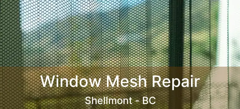  Window Mesh Repair Shellmont - BC