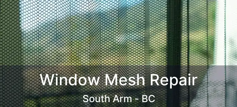  Window Mesh Repair South Arm - BC