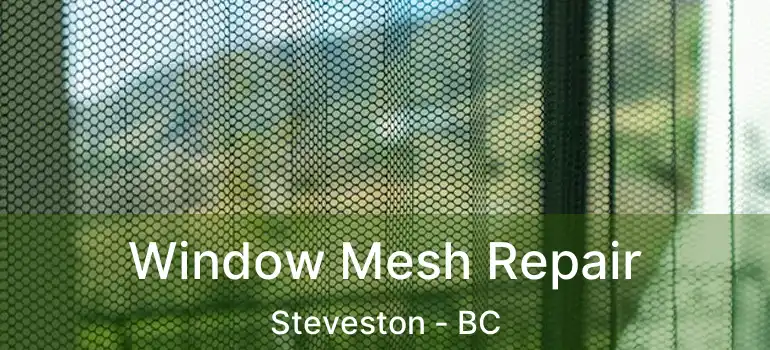  Window Mesh Repair Steveston - BC