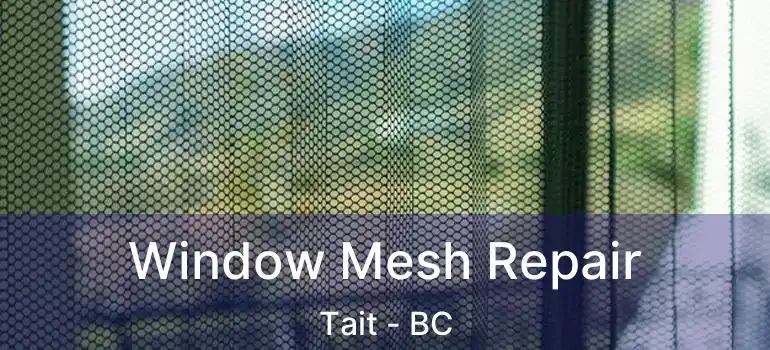  Window Mesh Repair Tait - BC