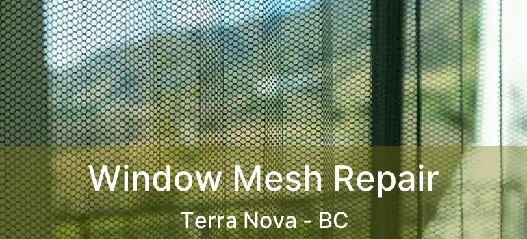  Window Mesh Repair Terra Nova - BC
