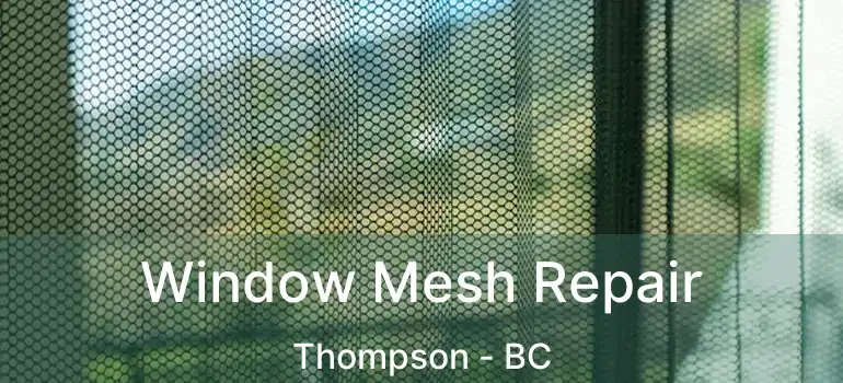  Window Mesh Repair Thompson - BC
