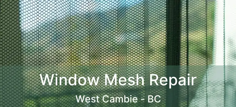  Window Mesh Repair West Cambie - BC