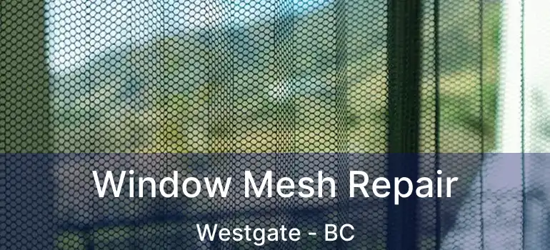  Window Mesh Repair Westgate - BC