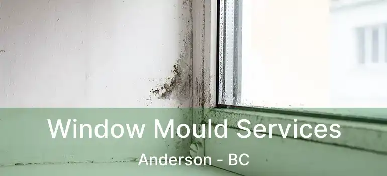  Window Mould Services Anderson - BC