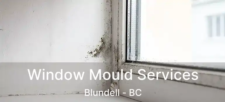  Window Mould Services Blundell - BC