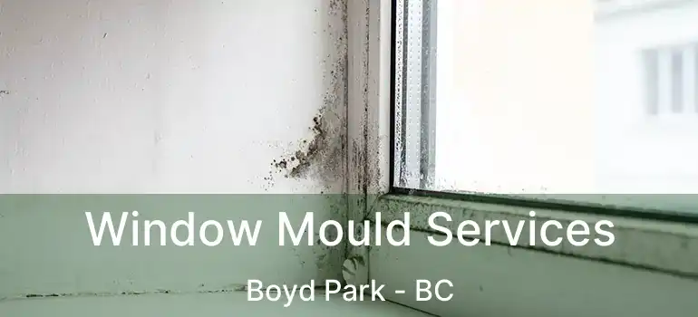  Window Mould Services Boyd Park - BC